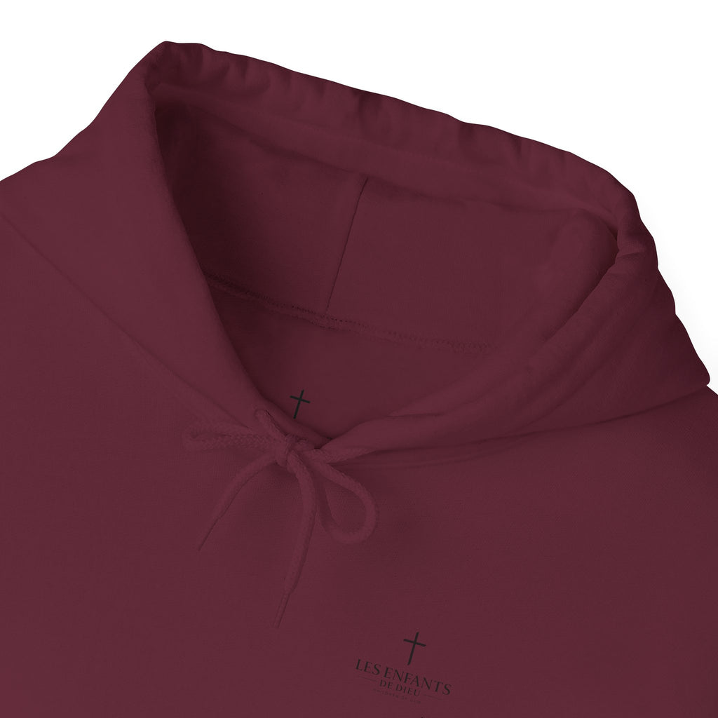 Les Enfants de Dieu - Jesus Saves Hoodie