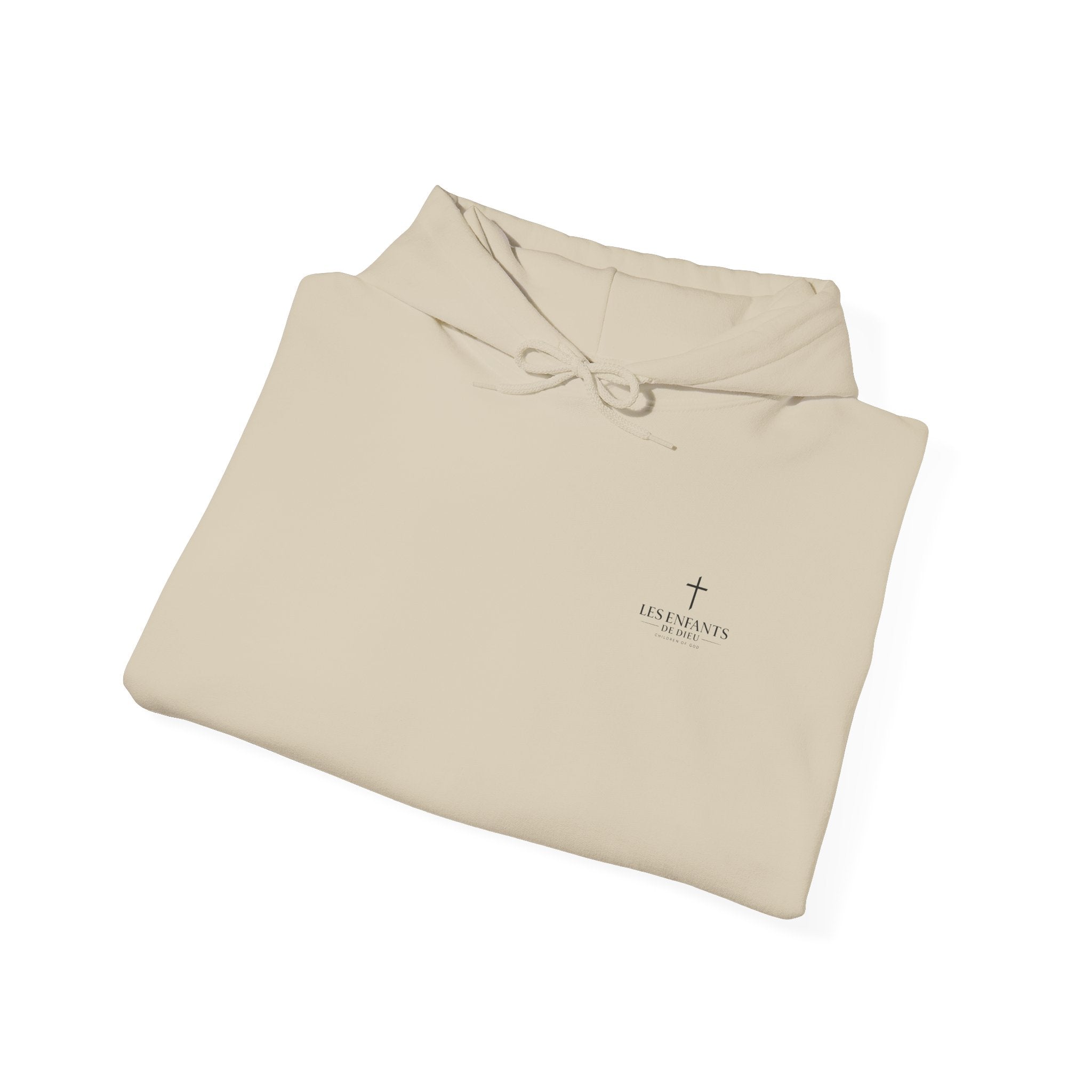 Les Enfants de Dieu - Jesus Saves Hoodie